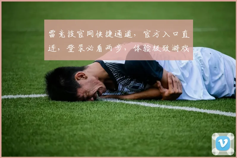 雷竞技官网快捷通道，官方入口直连，登录必看两步，体验极致游戏快感