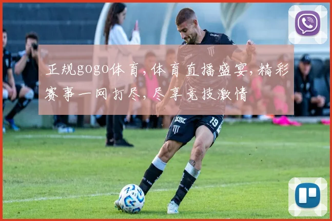 正规gogo体育,体育直播盛宴,精彩赛事一网打尽,尽享竞技激情
